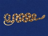 藏品(雨傘節)的圖片